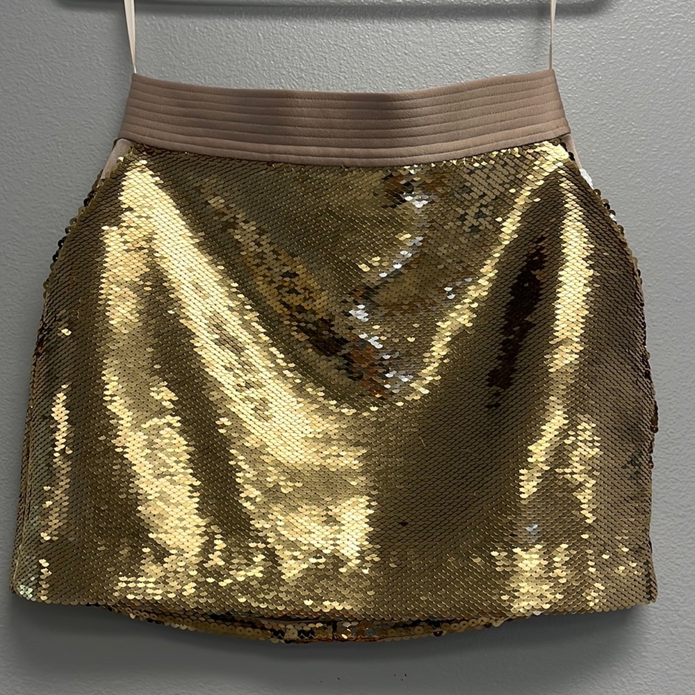 Delon Sequin Mini Skirt